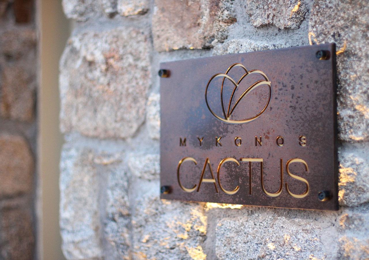 Mykonos Cactus Hotel Ornos  Luaran gambar